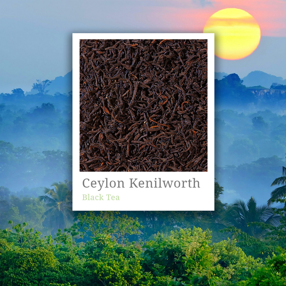 Ceylon Kenilworth Tea