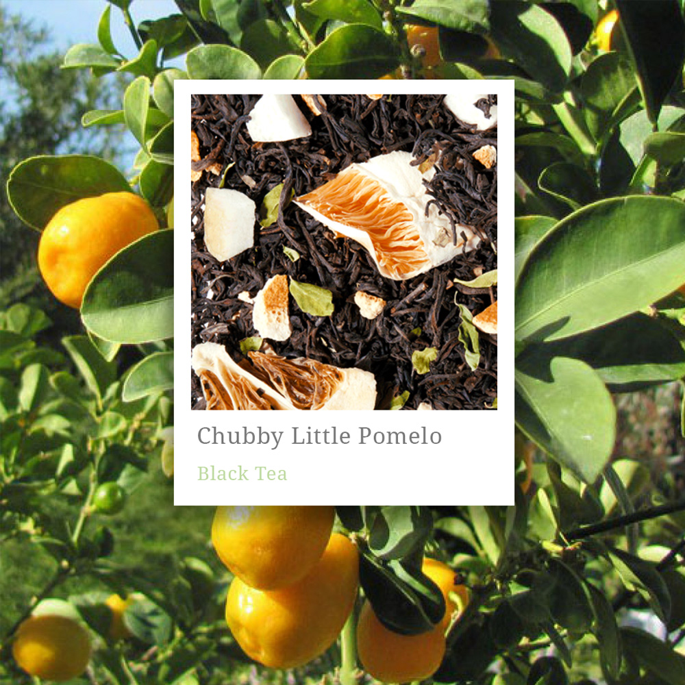 Chubby Little Pomelo