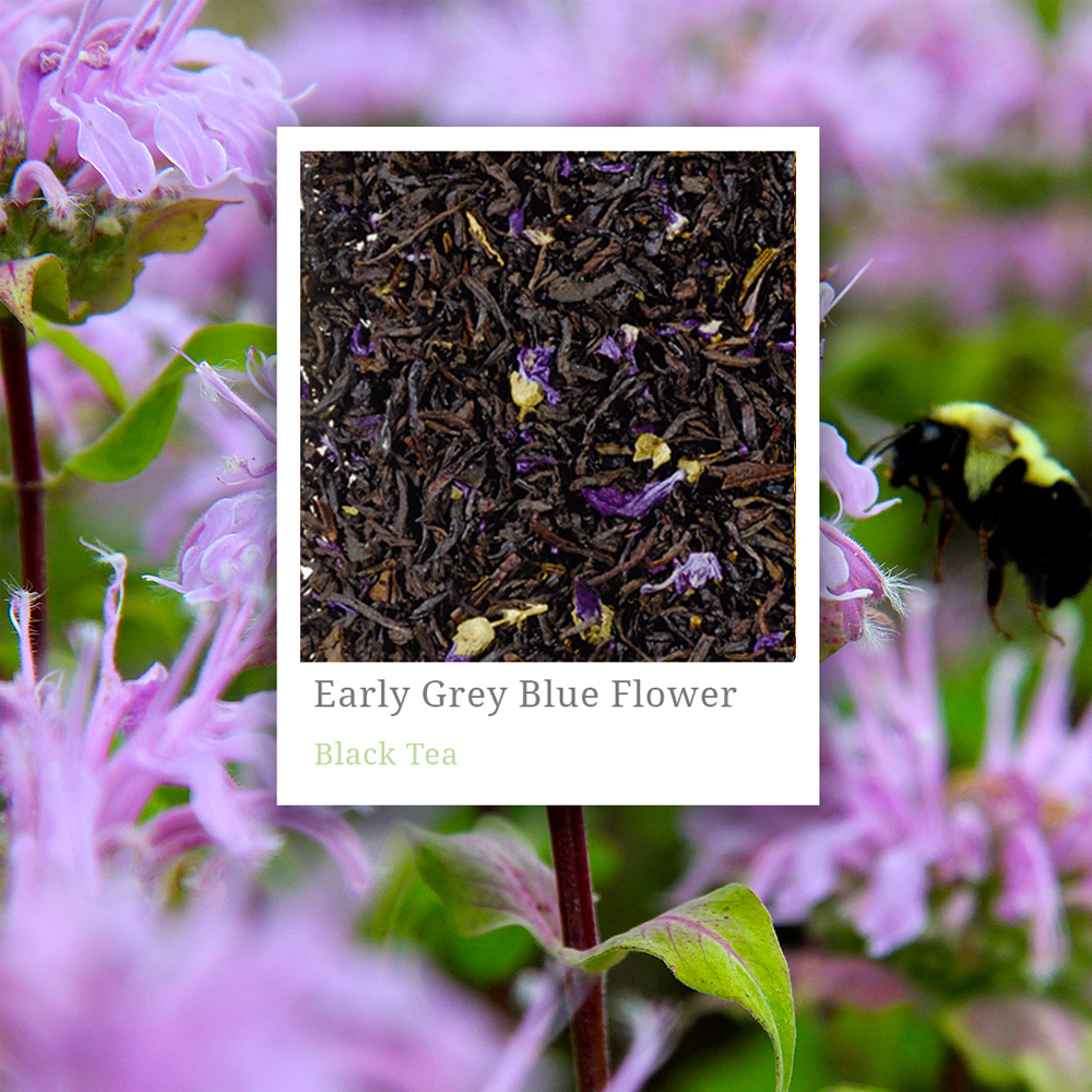 Earl Grey Blue Flower Tea