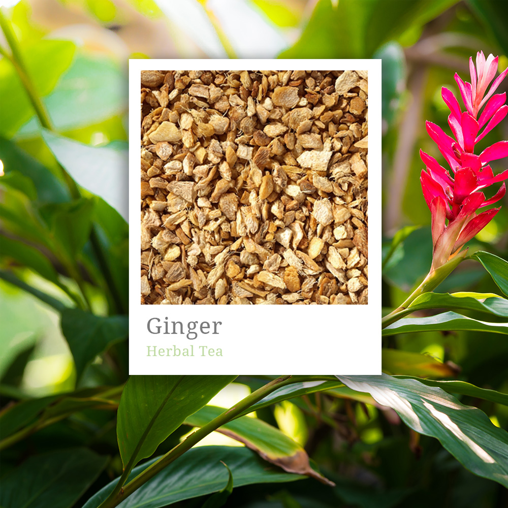 Ginger Herbal Tea