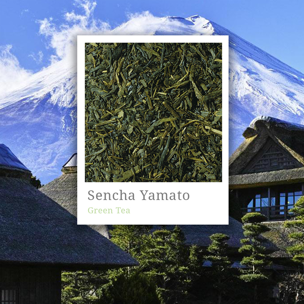 Sencha Yamato Tea