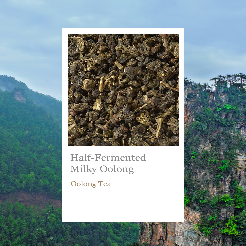 Half Fermented Milky Oolong